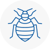 Bed Bug Extermination In Bottesford